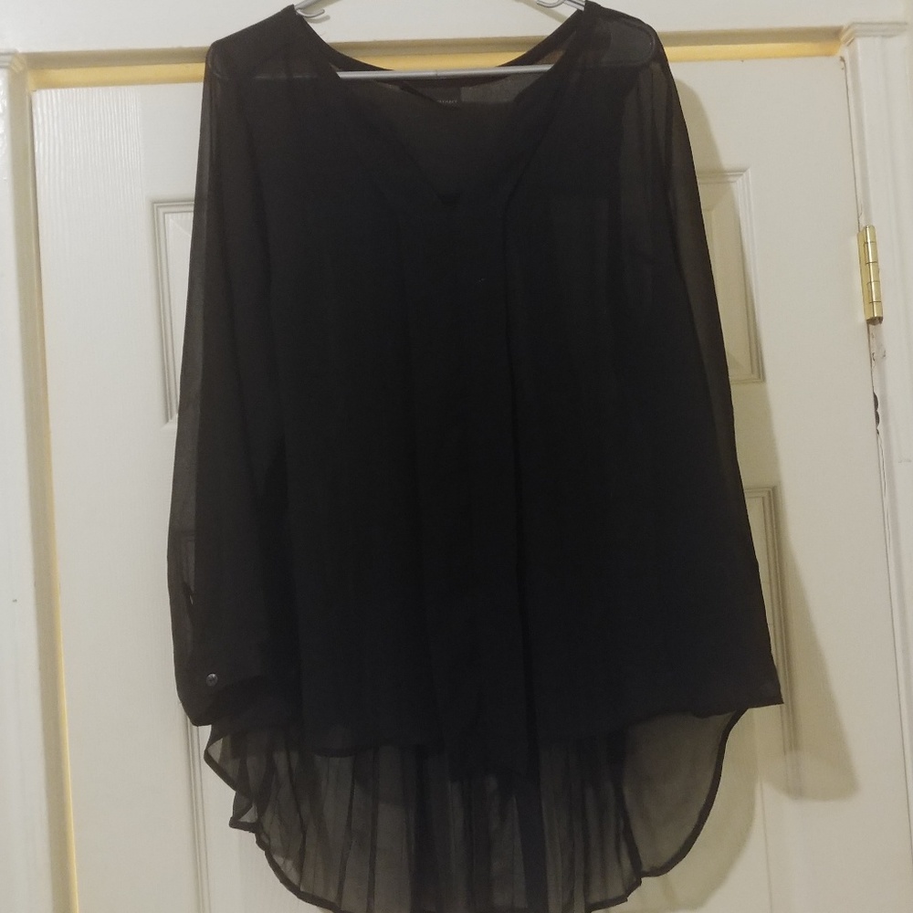 Long sleeve sheer top